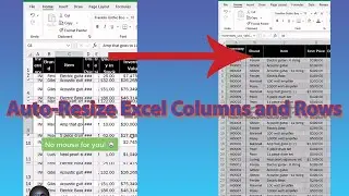 Auto Resize Excel Columns and Rows