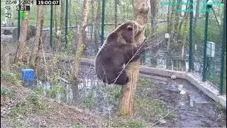 22.04.2024  