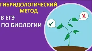 20. Гибридологический метод в ЕГЭ по биологии