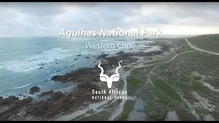 Agulhas National Park: the southern-most tip of Africa