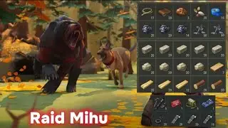 Ldoe raid Mihu
