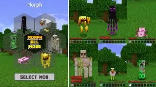 Minecraft Tapi Kita Bisa Berubah Menjadi Mob APAPUN!