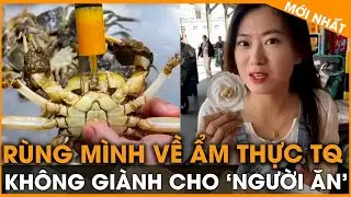 NGƯỜI TRUNG QUỐC TỰ HẠI NHAU - CUA GẠCH 