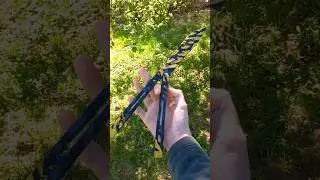 Бабочка 
