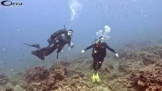 Immersione di corso Open Junior - A.M.P. dell'isola di Bergeggi.