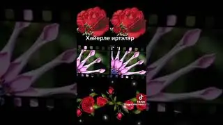 15 мая 2024 г.