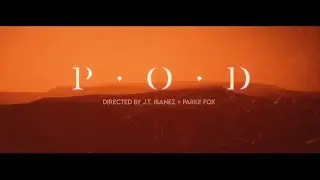 P.O.D. (featuring Tatiana Shmayluk) - 
