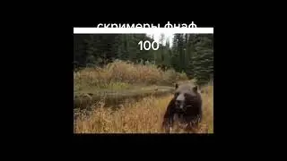 Все  скримеры фнаф 