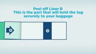 Tag Baggage