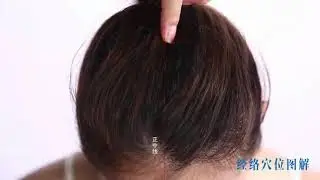 百会穴～百會穴