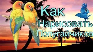 Как нарисовать попугаев акварелью? How to draw parrots in watercolor?