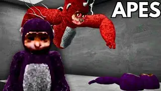 Scary Baboon 2 Is Here (APES)