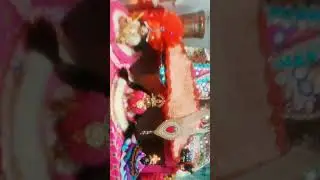 pakad lo baah girdhari