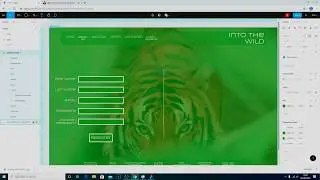 Figma Into The Wild 4 (Full Fat): The login page