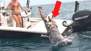 Nature's Revenge: When Fishermen Mess with the Wrong Animals