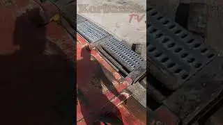 Niktórzy koszą zboże a rzepak jeszcze mają