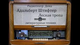 Лесная тропа.  Адальберт Штифтер.  Литературные чтения.