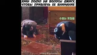 Хэ Ин подул на волосы Джису, чтобы привлечь её внимание/Подснежник