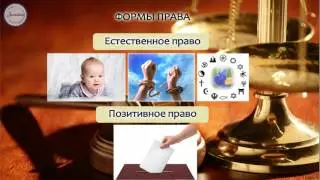 Обществознание 9 класс. Право, его роль в жизни общества и государства