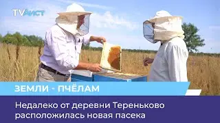 Недалеко от деревни Тереньково расположилась новая пасека