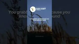 Steve Lacy - Bad Habit