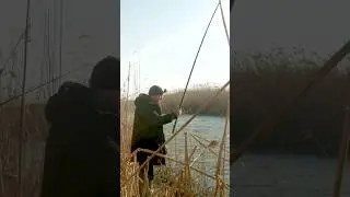 Рыбалка на поплавок Зимой!