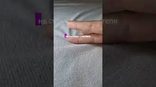 23 ноября 2023 г.