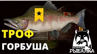 ГОРБУША Трофейная Тунгуска► ФАРМ ► РУССКАЯ РЫБАЛКА 4 🔴 Russian Fishing 4 🔴 РР4 RF4 ► 俄罗斯钓鱼 4