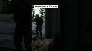 Сегодня стрим в 