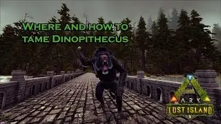 Where and how to tame Dinopithecus