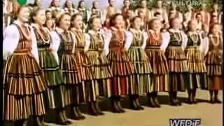 мазовше кукушка