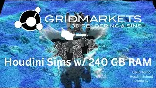 Houdini Sims w/ 240GB RAM