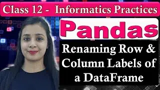 Pandas DataFrame - Renaming Row & Column Labels of a DataFrame | CBSE Class 12 - IP