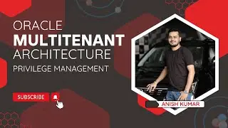 Oracle Multitenant Database Privilege Management: Grants & Roles