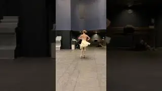 Pirouette Spins Ballet Dance | flexible Ballerina