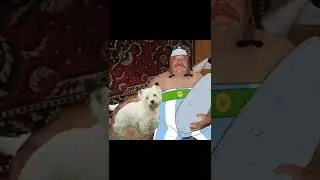 Легенда