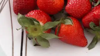 Оральный Секс. Особенности минета и куннилингуса