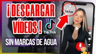 Cómo descargar videos de TikTok sin marca de agua en el teléfono  [2025].