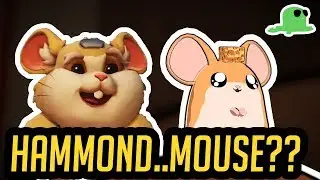 Hammond as a CAT? - CHEESE BALL - 