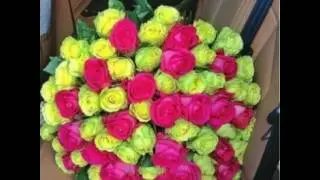 8 МАРТА 💐 💐 💐