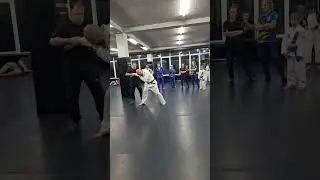 Seminar by Vlad Shypinskyi. Self-defense techniques Combat Ju-Jutsu in the Carpathians 2024. Video 7