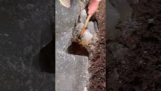Treasure hunt 