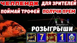 МЕДНОЕ 💥 ЧЕЛЛЕНДЖ ДЛЯ ЗРИТЕЛЕЙ 💥  РОЗЫГРЫШИ КАТУШЕК, ЗОЛОТА и ПРЕМОВ 💥 ТУРНИРЫ 🎁 СТРИМ РР4 / DUM_