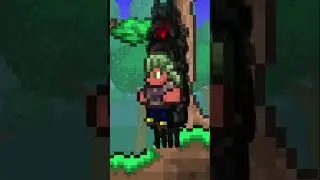 Wraith Terraria Info 