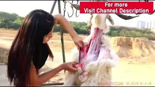 Lady Butcher after slaughter sheep | Lady slaughter sheep