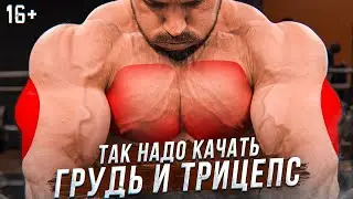 Супер упражнения на грудь и трицепс! Как накачать грудь. Тренировка трицепса