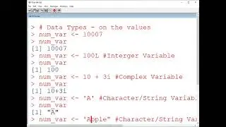 R Laguage Data Types numeric integer complex string character