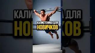 Калистеника для новичков💪