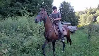 Girl Riding Horse in  Field | Horse Riding 