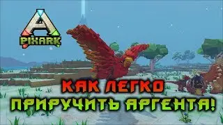 КАК ЛЕГКО ПРИРУЧИТЬ АРГЕНТА В PIXARK!